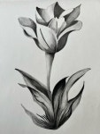 연필드로잉 손드로잉 인체드로잉 인체소묘 연필드로잉 손드로잉 인체드로잉 인체소묘 | Art tools drawing, Realistic drawings... 