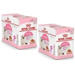 펫츠맘마 국내산 강아지 수제간식 200g, 무염황태포, 1개