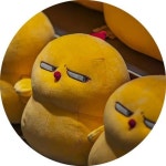 영어 공부