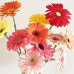 #Bouquet#pinkbouquet#wedding#flower#handtied Instagram의 FLOOVE [조화부케, 조화소품, 꽃다발]님: “핑크톤 생화부케🌸💞”