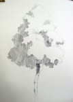step by step] Drawing a Hardwood Tree - Basic Pencil drawing process 활엽수 나무그리기 과정 - 기초 연필 데생 드로잉 