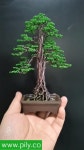 wood Craft에 있는 Good Vibe님의 핀 | 나무