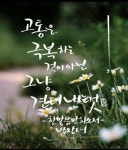 칼리그래피 아트에 있는 ^*님의 핀 | 수채화 인쇄, 손글씨, 수채화 엽서
