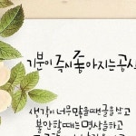 Pin page 플라워아뜰리에 꽃비 on Instagram: “결혼31주년...... 감사 #아뜰리에꽃비 #꽃비플라워상품 #꽃정기구독 #꽃… ในปี 2024