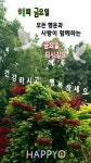좋은 아침 인사 수요일