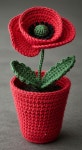 #crochet #handmade #happyday #knitting  #손뜨개스타그램#cute #코바늘스타그램 #선인장뜨기 #앙증맞음#선인장🌵…