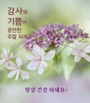 좋은 아침 인사 수요일