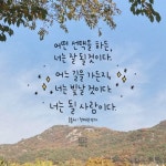 삶은 부메랑이다.