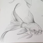 기초디자인기초 #미술기초 #입시기초 #그림기초 #미대입시 #미술입시 #미술 #그림 #인공물 #스케치 #드로잉 #호루라기 #형태 #형태연습  #art…