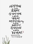 무심