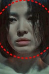 사진 그리기