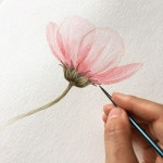 작가되기#28 수채화 실력 다지기(1) 작가되기#28 수채화 실력 다지기(1) | Contemporary botanical art, Colored pencil... 