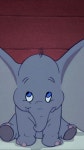 아이폰 디즈니 덤보 배경화면 고화질 | Cute dumbo cartoon, Cute dumbo pictures, Cute dumbo wallpaper