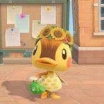 뽀얌 Animal Crossing 🌿에 있는 Ryūki Sensei님의 핀 | 강아지, 동물, 곰