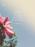 하늘사람 되는 방법> // http://www.meditationwoomyung.org / (우명 지음 / 참출판사) / #좋은책 #book #마음수련 우명 | 영성, 책, 한국어