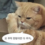 치와와의 오후 / Afternoon Chiwawa @afternoon_chiwawa #치와와의오후 #AfternoonChiwawa #일러스트페어 #그림 #THESIF #Drawing... 