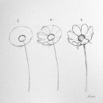 12 Flower Drawing Easy Tutorials For Beginners To Draw Kate Kyehyun Park on Instagram: - Poppy flower sketches step by step for... 