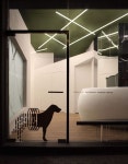 HAE ANIMAL MEDICAL CLINIC HAE ANIMAL MEDICAL CLINIC 해 동물병원 - SPACE LITA | 병원 디자인, 인테리어, 수의사