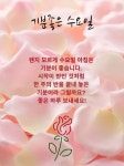 좋은 아침 인사 | 자연, 감사, 카톡