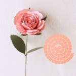 종이꽃diy 🌹 돌돌 말아 붙이면 예쁜 장미 완성🤗 좀 다양한 컬러로... 준비했습니다 #종이꽃#만들기#페이퍼플라워#취미키트#만들기키트... 