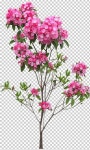 집, 펜션, 바람개비 일러스트 PNG, 별장 바람개비 초원 배경 소재 이미지 벡터, PSD 파일 - Pngtree 집, 펜션, 바람개비 일러스트... 