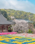 천안