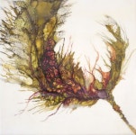 더쿠 - 귀엽고 예쁘고 시원하게 뽑힌 국립박물관 신상품!