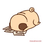 우리지구 곰돌이컷트하고~~^^