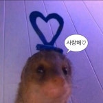 공주 아팡 ㅠ 짤에 있는 핀