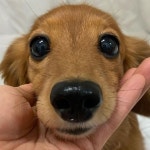 자기야