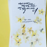 캘리그라피 caligrafie coreeana에 있는 Cerasela Trifan Budui님의 핀 - 2025 | 손글씨, 칼리그래피 아트