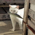 ᴮᵞ ᵞᴼᵁ ᴺᴬᴵᴸ ♡ 카톡ID - b.you ☎️ - 010.3373.2375 동대문구 답십리동475-140 1층 ⠀ ⠀