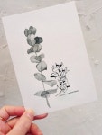 플러스펜 수채화 캘리