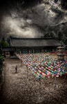 제비원 솔씨공원(2012년)
