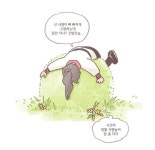 망개떡 on X