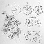 Pin page flori primăvara에 있는 Ancuta Serban님의 핀 | 색연필 테크닉, 꽃그림, 드로잉