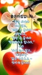 좋은아침 짤