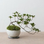 40년 정통의 아크릴최가