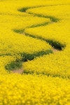 Pin page I THiNK to MYSeLF....에 있는 LaDyPam🌻WiNdoWs In LiFe님의 핀 | 자연 사진, 자연 그림, 풍경 사진