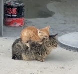 뀨잉넷 - 온세상 모든 웹코믹이 모이는 곳 만화에 있는 핀