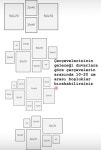 Ideas Job - events btl에 있는 Daniela Jaramillo님의 핀 | 팝업 이벤트, 팝업 스토어, 전시 부스 디자인