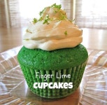 전체 - 석주선기념박물관 - 단국대학교