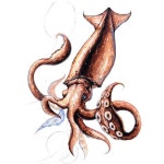 공립 유치원 놀이터, 짚라인부터 회전무대까지~ 삼척 누리유치원 실외 놀이터 조성! (ft. 로프 놀이대) https://m.blog.naver.com/ezdeco9449762... 