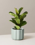 화분자재류 Succulents Pots에 있는 핀