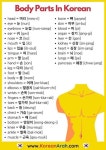 Pin on Dom & Hyo Posts Pin on Dom & Hyo Posts | 어휘, 배우기, 관용구