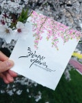 Top 10 수채화 캘리그라피 ideas and inspiration