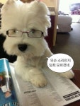 직지소프트 | 직지폰트 | sm견출명조