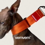 [취미/레저] 손끝에서 시작하는 특별한 강아지옷 만들기