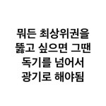 죽은 시인의 사회 배경화면