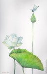 [부산 취미 미술] 연화도/연꽃 그리기/부산 화명동 직장인 주말 취미 미술/부산 화실/채색화 배우는 곳/민화 배우는 곳 [부산 취미... 